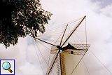 Windm&uuml;hle in Ciutadella