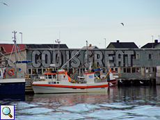 Cod is great - der Wahlspruch der Fischer am Varanger-Fjord