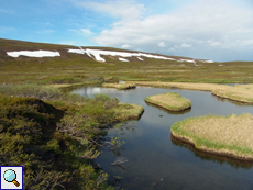 Offene Landschaft mit eingestreuten kleinen Gewässern - die Gegend um Komagvær ist ein Naturparadies