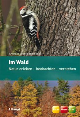 Im Wald