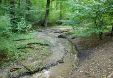 Naturschutzgebiet Tippelsberg/Berger Mühle