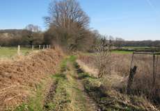 Naturschutzgebiet Waldsiepen Hevener Straße/Im Lottental