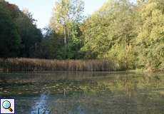 Herbststimmung am Lottentaler Teich in der Nähe des Botanischen Gartens