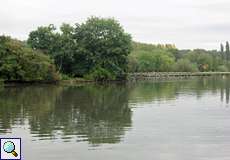 Blick auf die Insel im Ümminger See