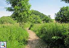 Halboffene Landschaft im Naturschutzgebiet Oelbachtal
