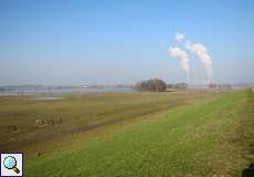 Blick auf das Deichvorland der Walsumer Rheinaue