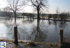 Winter in der Walsumer Rheinaue