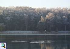 Winterlandschaft am südlichen Ufer des Baldeneysees