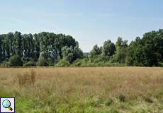 Blick über einen Teil der Heisinger Ruhraue