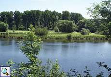 Teich in der Heisinger Ruhraue im Spätsommer
