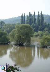 Heisinger Ruhraue mit Hochwasser