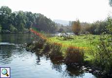 Das Ufer der Ruhr im herbstlichen Gegenlicht