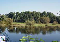 Teich in der Heisinger Ruhraue im Frühherbst
