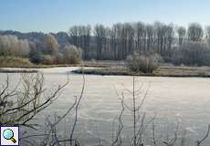 Teich in der Heisinger Ruhraue im Winter