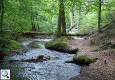 Der Oefter Bach im Naturschutzgebiet Oefter Tal