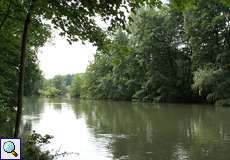 Die Ruhr im NSG Ruhruferstreifen am Golfplatz Oefte