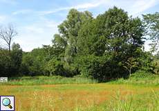 Offene Fläche an der Grenze des Vogelschutzgebiets Heisingen