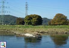 Blick auf das Naturschutzgebiet 'Ruhraue Hattingen-Winz'