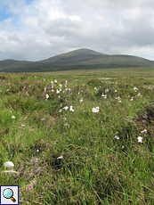 Landschaft bei Loch Droma
