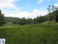 Grüne Landschaft mit lockerem Baumbestand im Findhorn Valley