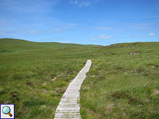 Der Plankenweg zu den Klippen von Handa führt durch eine Wiesenlandschaft