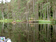 Spiegelungen in einem See im Inshriach Forest