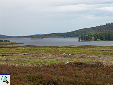 Niedrige Vegetation mit Lochindorb im Hintergrund