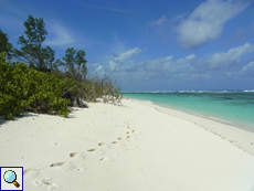 Blenden weißer Sand und blauer Himmel auf Bird Island