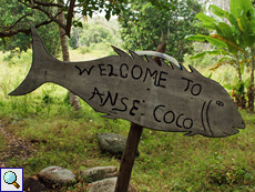 Eigentlich heißt die Bucht Anse Cocos, aber das Schild ist trotzdem charmant