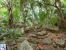 Wald bedeckt die Felsen im landeinwärts gelegenen Teil der Pointe Turcy