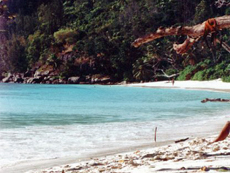 Petite Anse auf Mahé