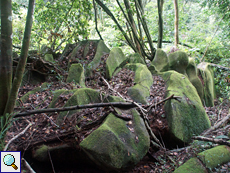 Die Granitfelsen sind vielerorts mit Moos bewachsen