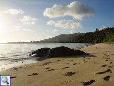 Später Nachmittag an der Grand Anse Später Nachmittag an der Grand Anse