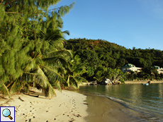 Strand mit Palmen auf Praslin