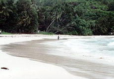 Baie Lazare
