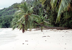 Baie Lazare