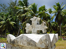 Hinter dem Friedhof stehen unzählige Kokospalmen (Cocos nucifera)
