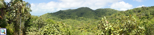 Panorama am Aussichtspunkt des Vallée de Mai