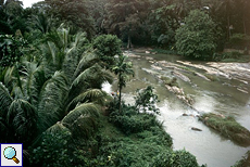 Fluss mit grünen Ufern