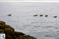 Fischerboote an der Südküste Sri Lankas