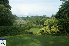 Aussicht im Brief Garden