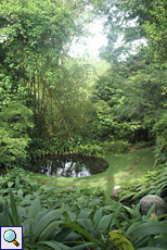 Kleiner Teich im Brief Garden
