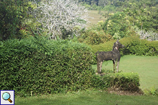 Pferdeskulptur im Brief Garden