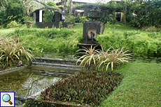 Kleiner Wassergarten im Brief Garden