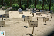 Brutplatz in der Meeresschildkrötenstation