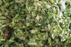 Brunnenkresse-Salat mit frischen Kokosraspeln