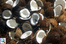 Bergeweise frische Kokosnüsse