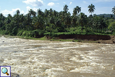 Der Maha Oya führt Hochwasser