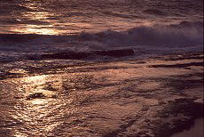 Strand im Abendlicht