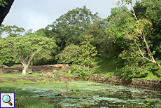 Ein Wassergraben und dichte Vegetation